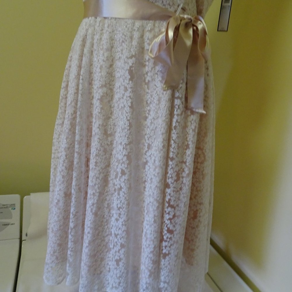 Ladies Size 14 Champagne Lace Dress-NEW - Picture 3 of 8